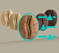 SIEMENS EQ.900 TQ905R03 Inox Garantie 3 Ans 15 SIEMENS EQ.900 TQ905R03 Inox Garantie 3 Ans -Magasin D'Électroménager 8siemenseq900inox